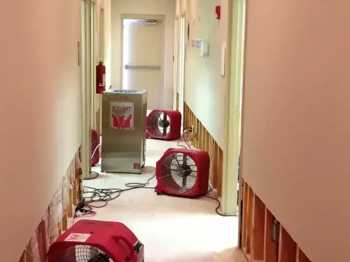 A hallway flood cut near the baseboard with air movers drying behind it