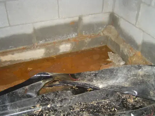 Water pooled on a torn vapor barrier inside a crawl space